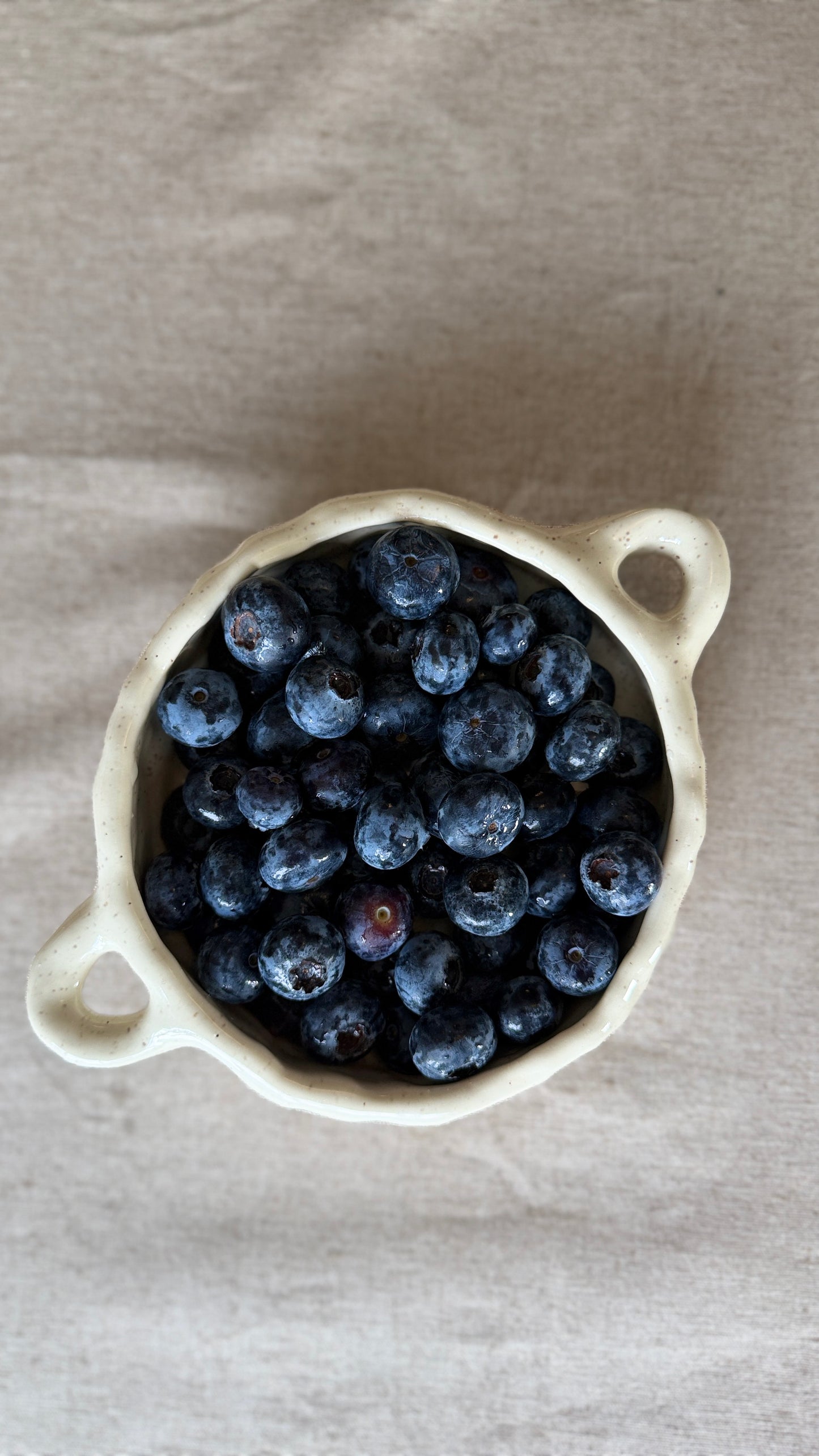 Soup bowl with handles