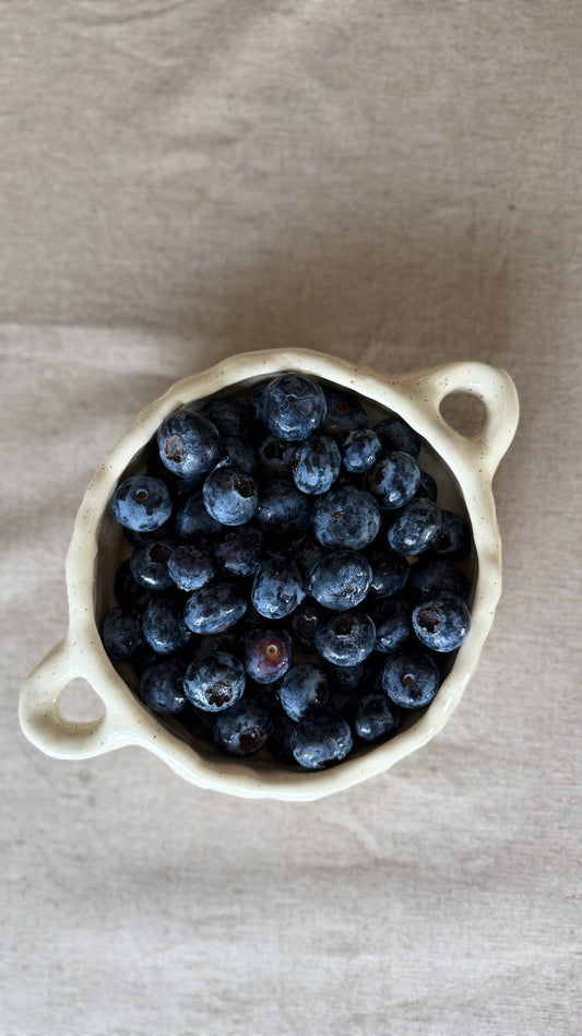 Soup bowl with handles